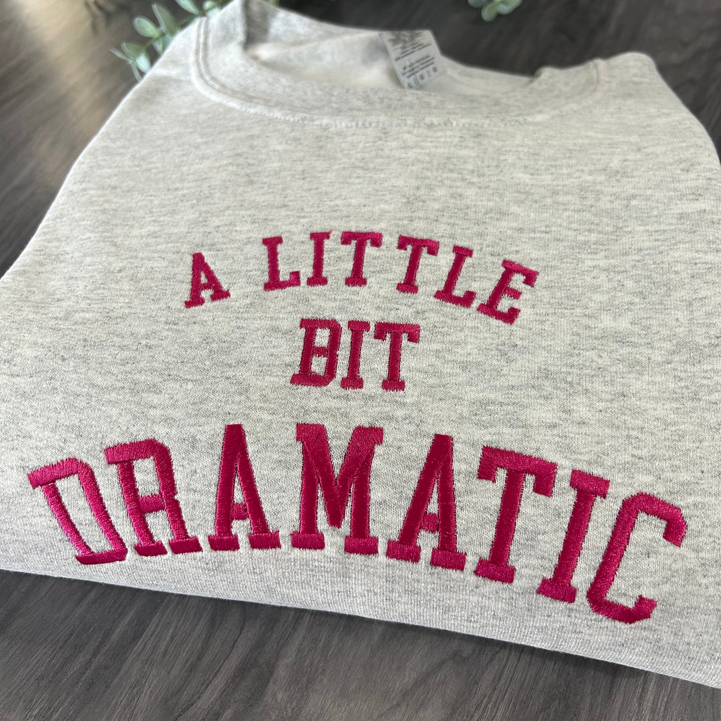 A LITTLE BIT DRAMATIC EMBROIDERED SWEATSHIRT