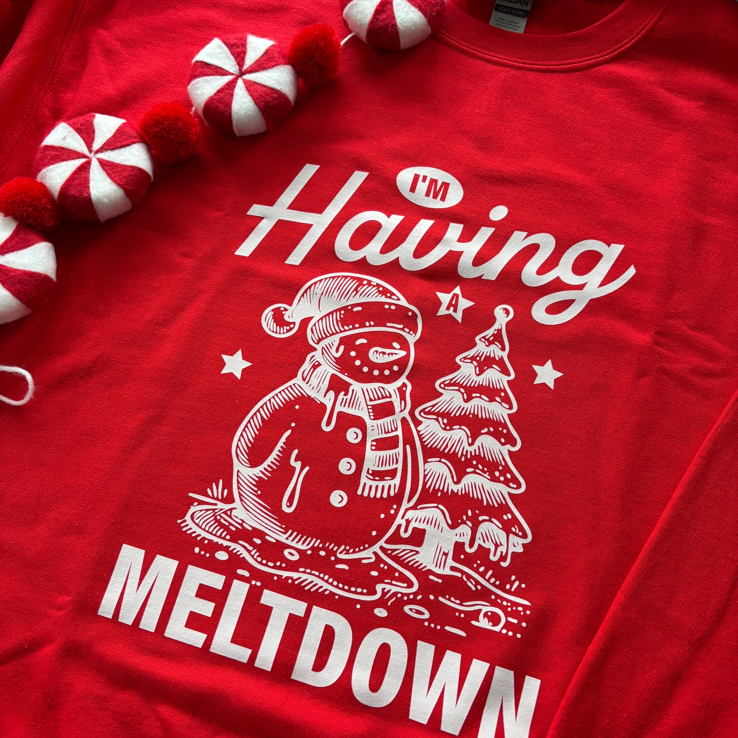 HAVING A MELTDOWN PRINTED T-SHIRT/ SWEATSHIRT
