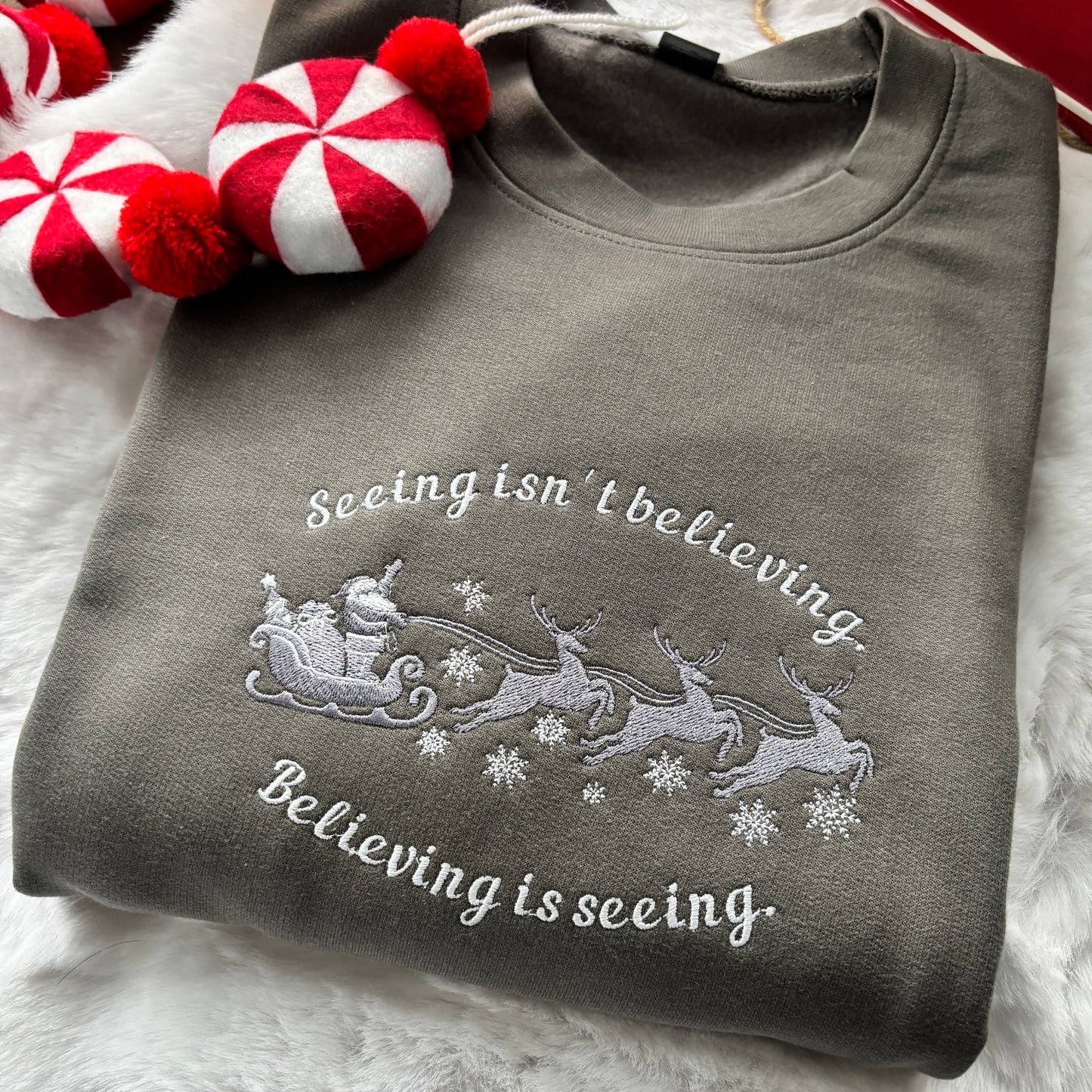SEEING ISN'T BELIEVING SANTA CLAUSE EMBROIDERED SWEATSHIRT