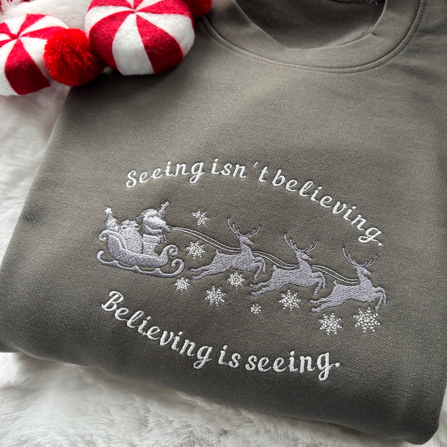 SEEING ISN'T BELIEVING SANTA CLAUSE EMBROIDERED SWEATSHIRT