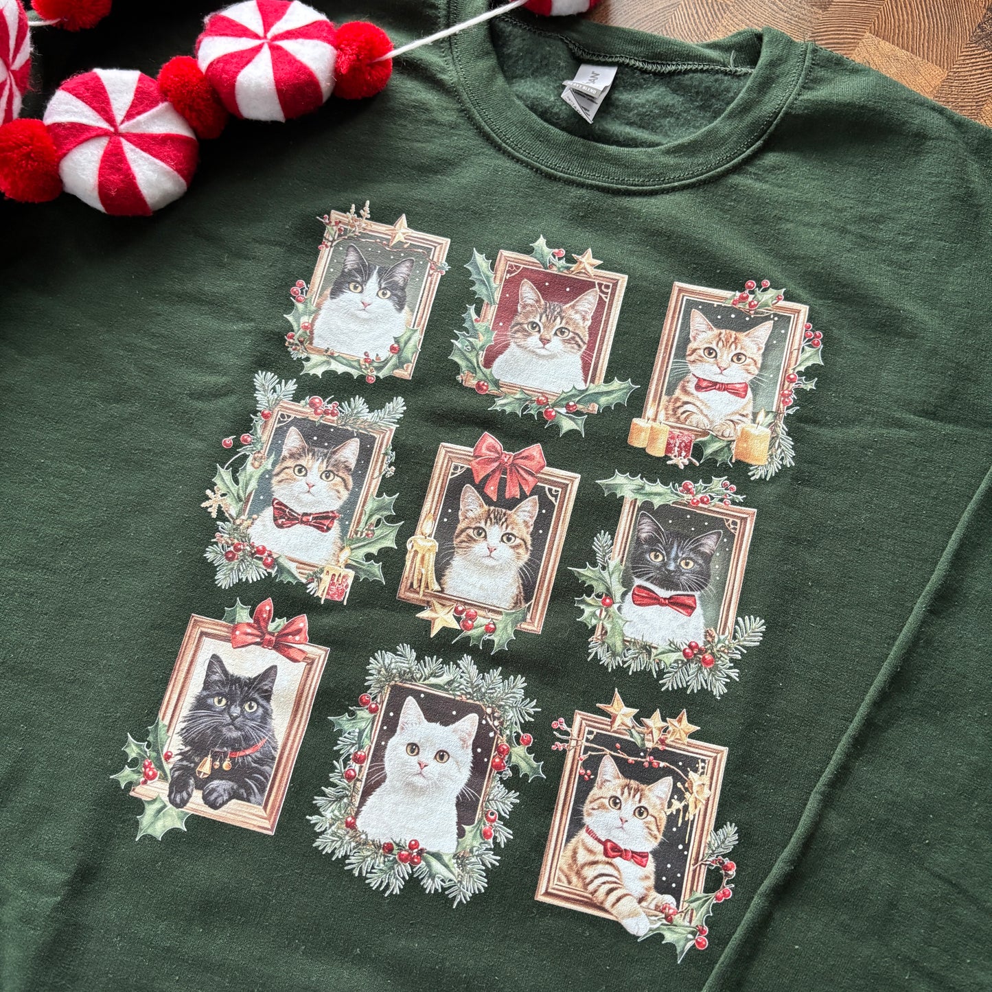 CRAZY CAT LADY PRINTED T-SHIRT/ SWEATSHIRT
