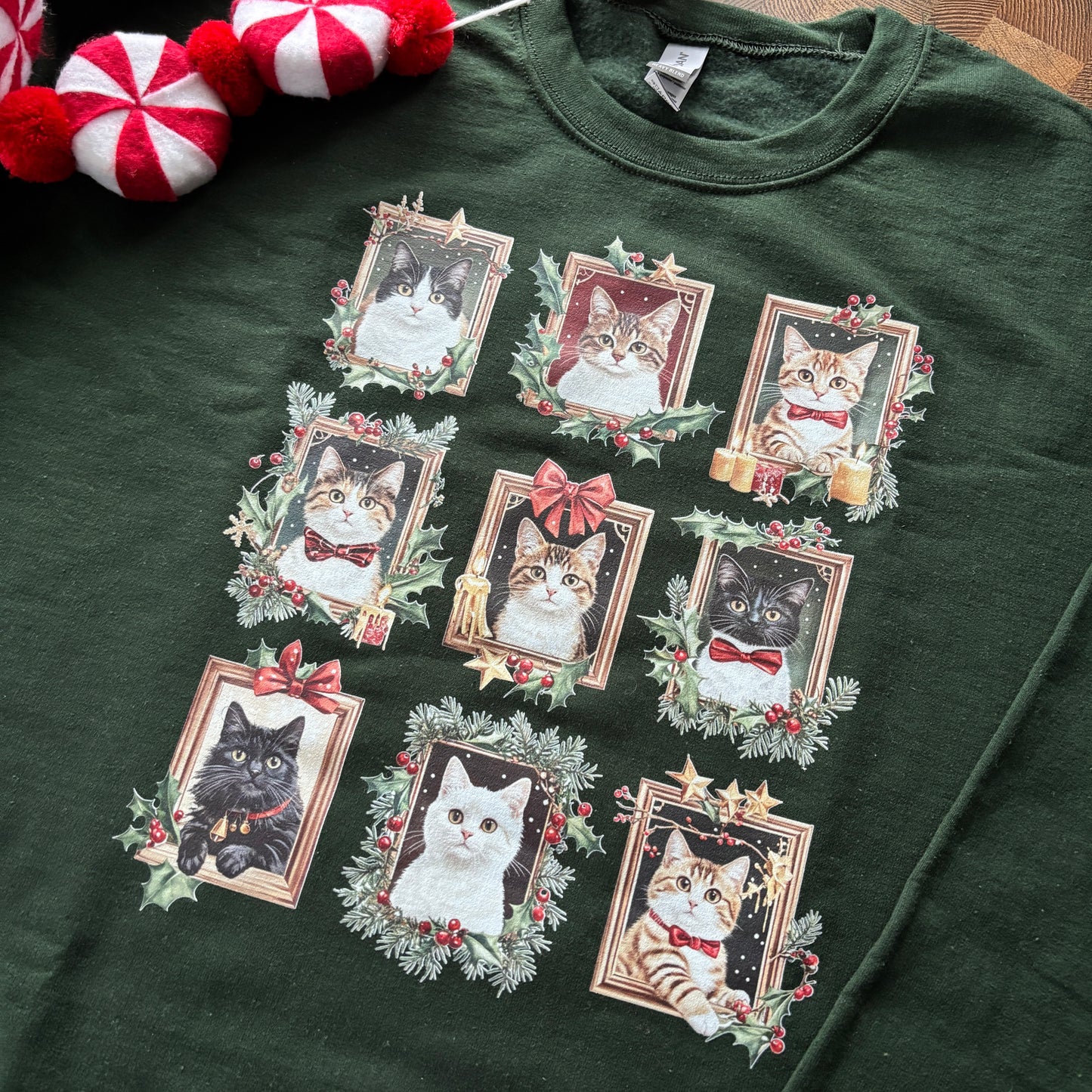 CRAZY CAT LADY PRINTED T-SHIRT/ SWEATSHIRT