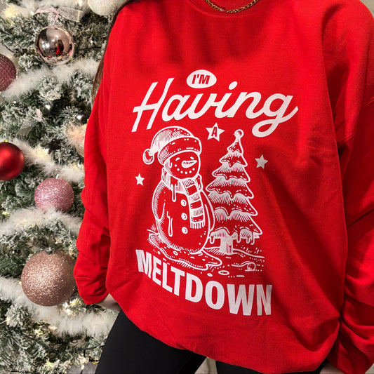HAVING A MELTDOWN PRINTED T-SHIRT/ SWEATSHIRT